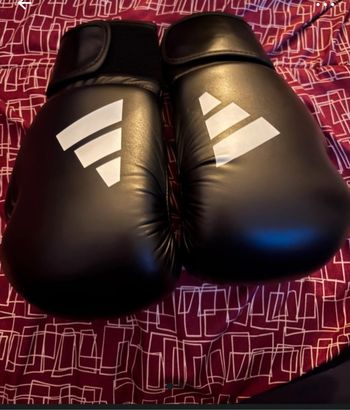 Gants de boxe
