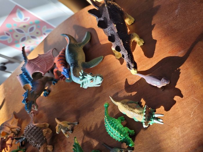 lots de petits dinosaures (5e) - photo numéro 3