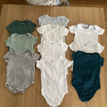 Lot de 10 bodies manches courtes 18mois