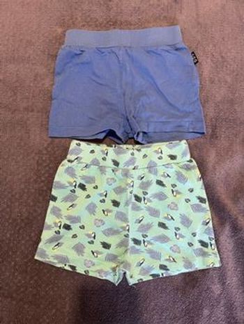 Lot 2 shorts 