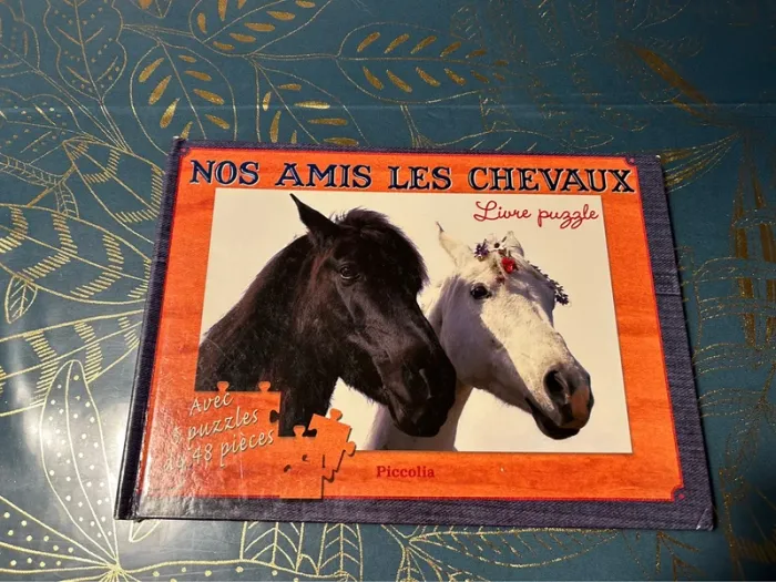 Livre puzzle