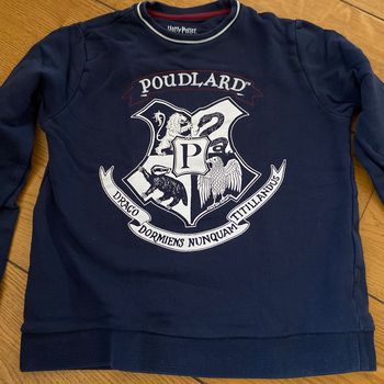 Pull Harry Potter