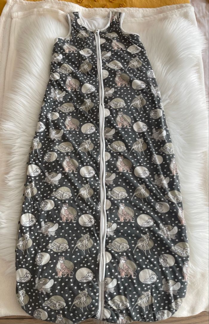 Gigoteuse d’hiver pour bébé garçon 18-48 mois  Disney - photo numéro 4