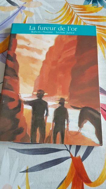 La fureur de l'or de Roberto Piumini