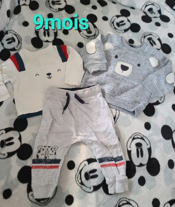 Ensemble ours 🐻