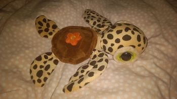 Jolie peluche tortue