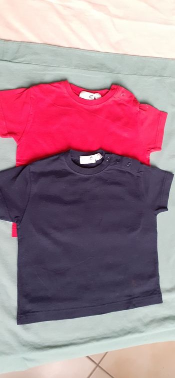 Lot de 2 tee-shirts garçon 18 mois