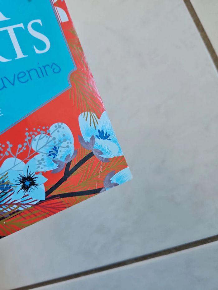 L'hôtel des souvenirs Nora Roberts Intégrale U19 - photo numéro 7