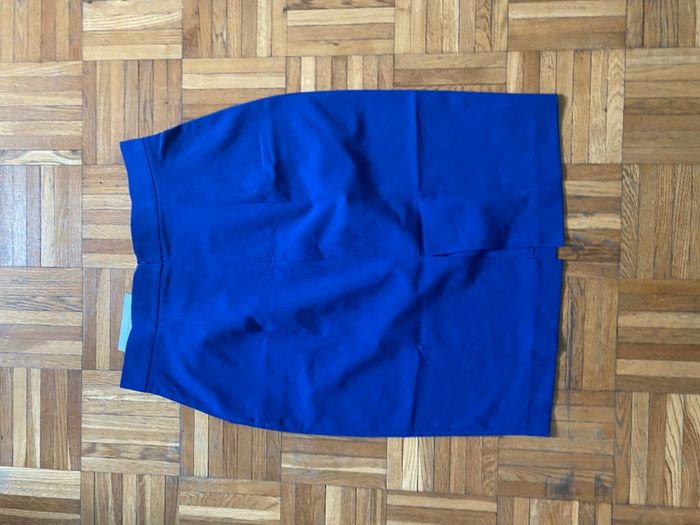 Jupe bleue (Lapasi) - photo numéro 2