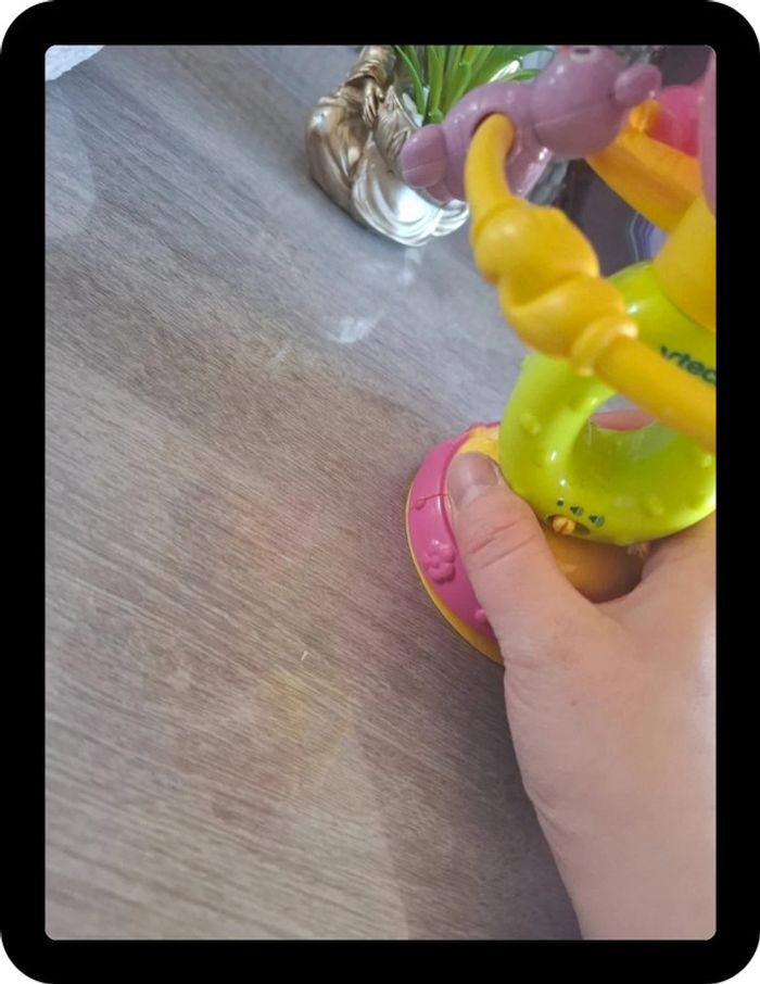 Hochet ventouse - photo numéro 2