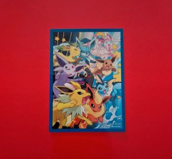 1 sleeve pokemon
