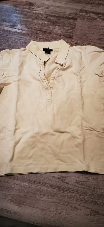 Polo M