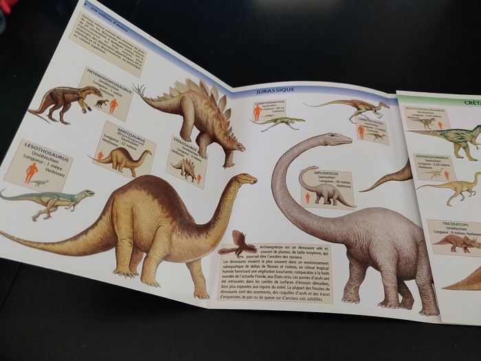 Livret Guide enfant - les dinosaures - photo numéro 3