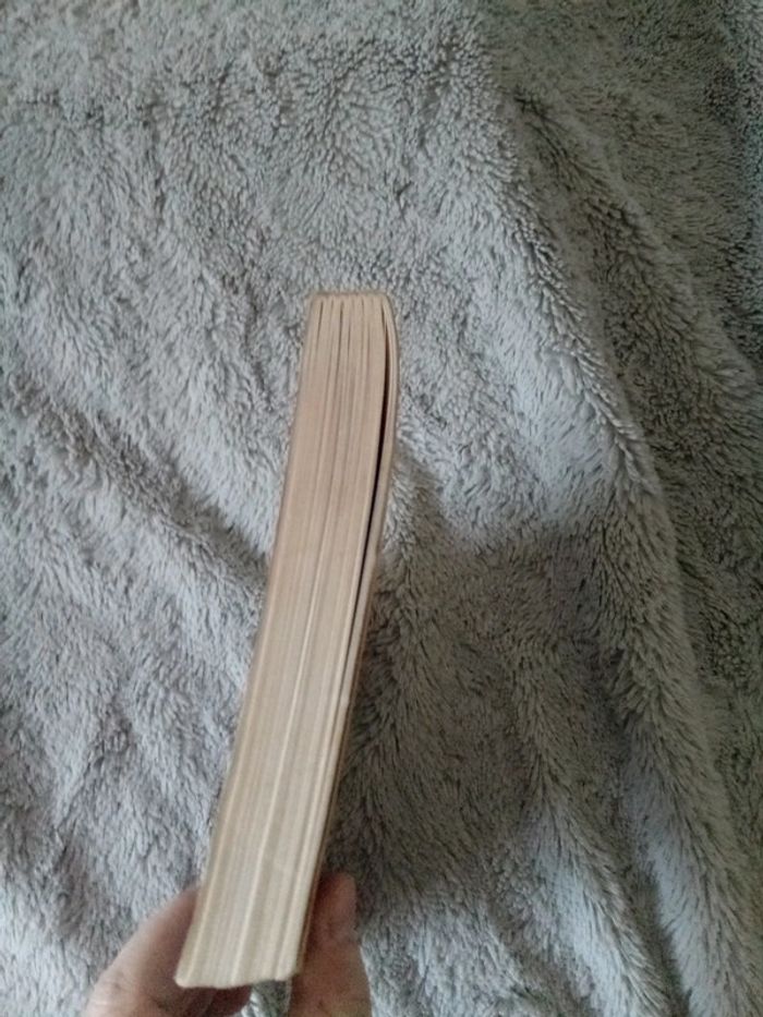 Les secrets d'Aleister crowley - photo numéro 10