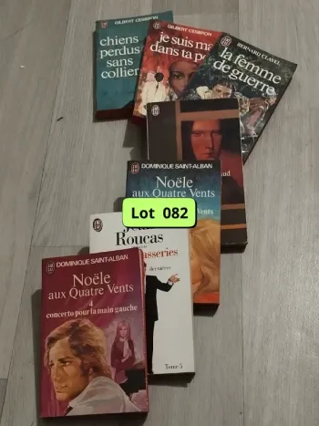 Lot de 7 romans en très bons états L082