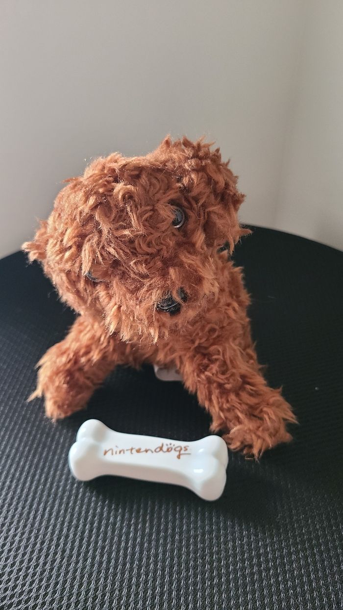 Nintendogs