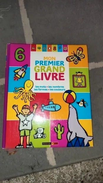 mon premier grand livre/ imagier