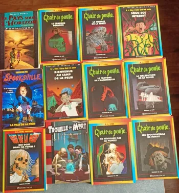 Livres chair de poule spooksville lot