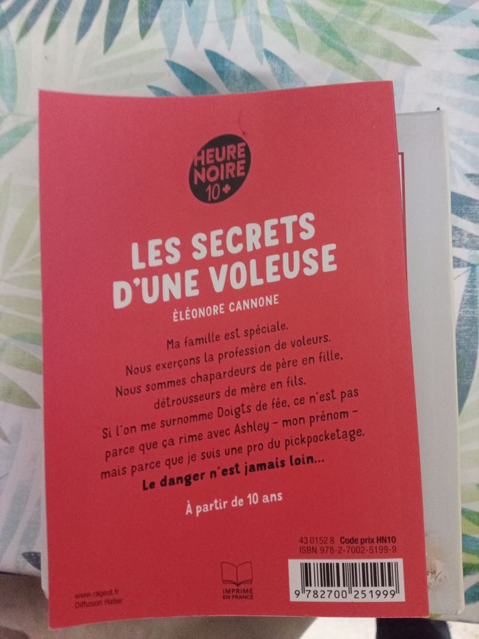 Secret d'une voleuse - photo numéro 2