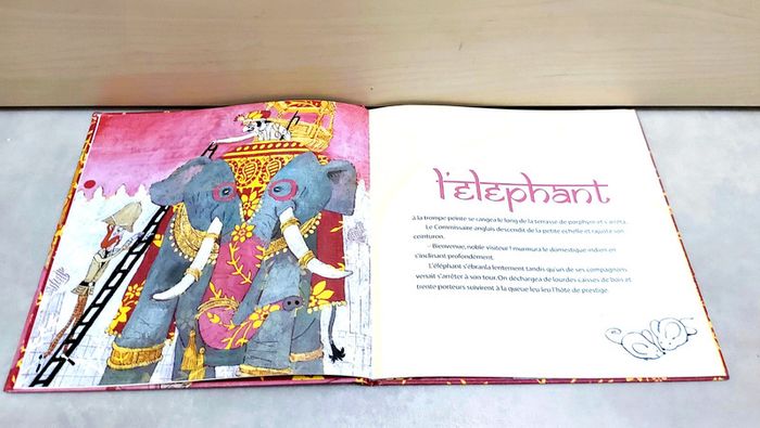 📚 Livre : La souris de Vishnou - photo numéro 2