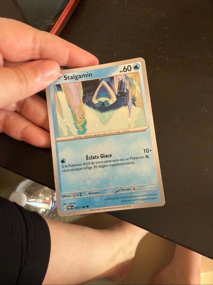 Carte Pokémon