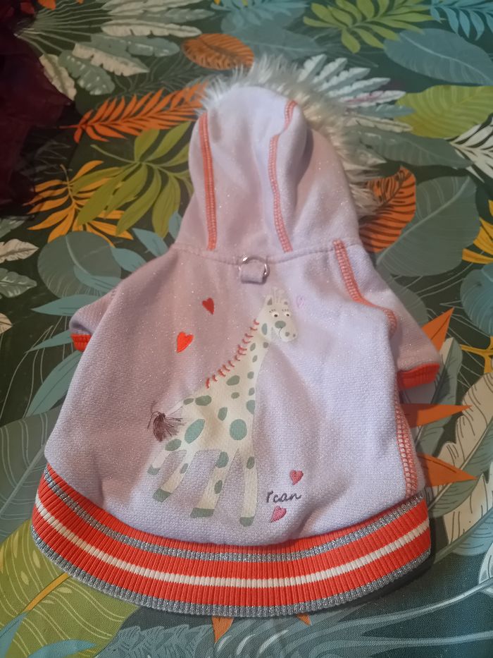 Veste pour petit chien - photo numéro 2