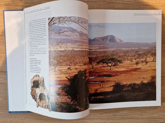 Livre histoires de l'humanité - photo numéro 2