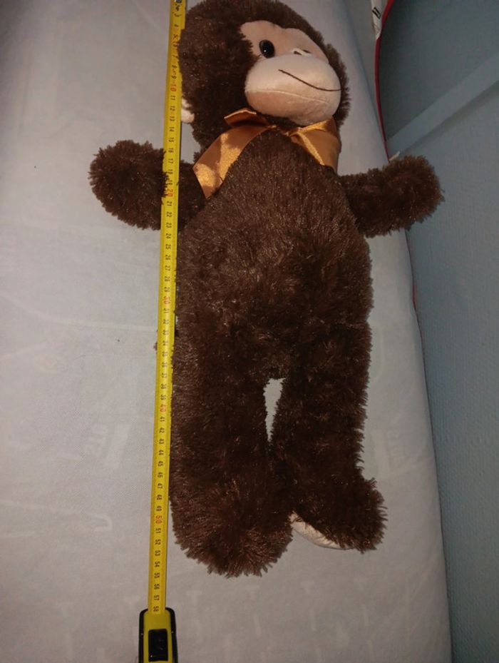 Singe - photo numéro 4