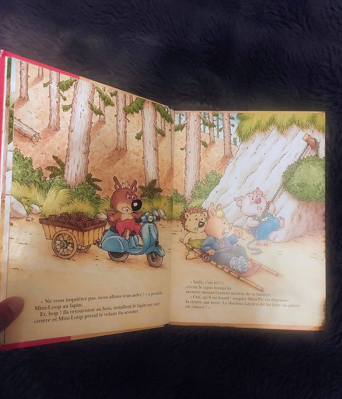 Livre de 3 histoires sur les aventures de Mini Loup - photo numéro 4