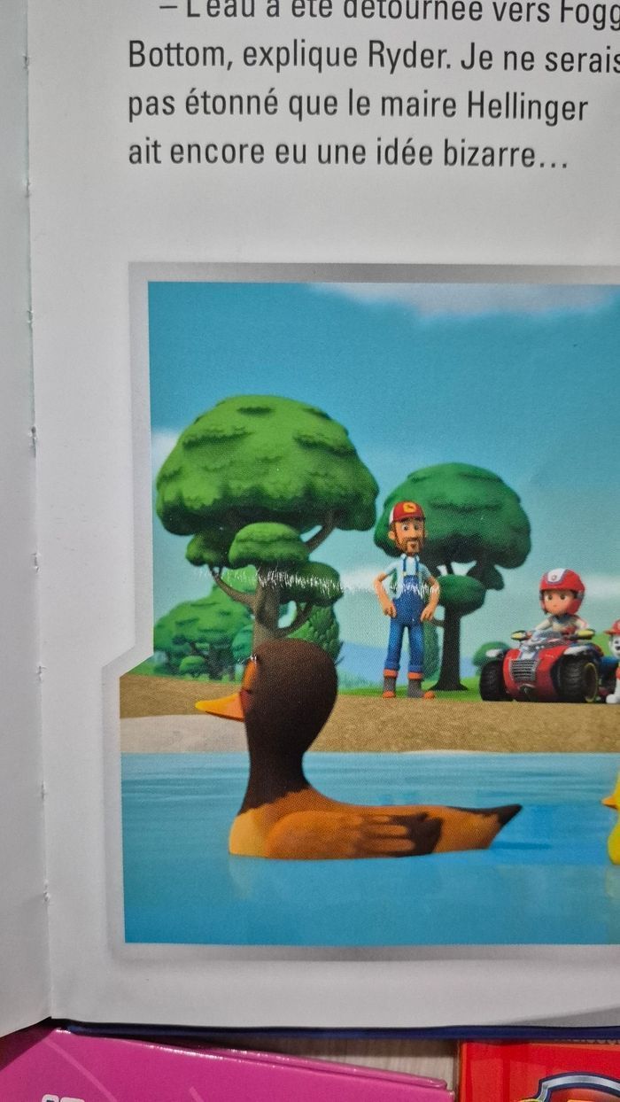 Livres pat patrouille - photo numéro 6