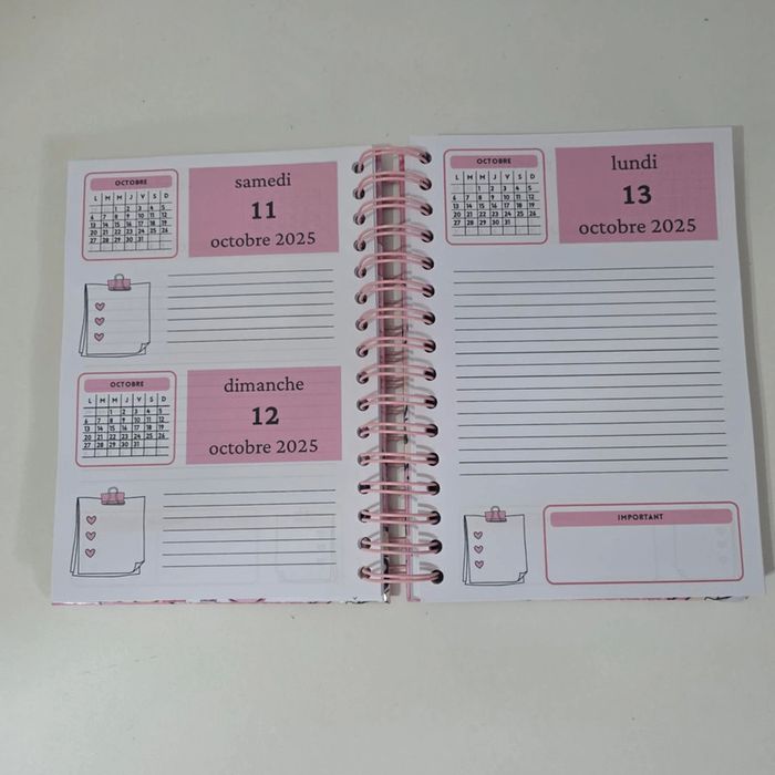 agenda labubu 2025-2026 - photo numéro 3