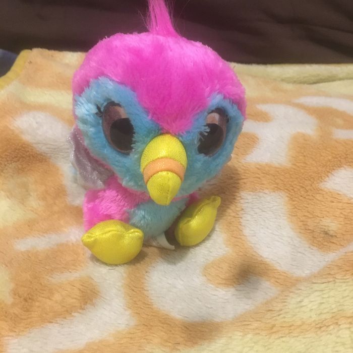 Peluche