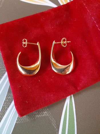 Paire de boucle d oreille