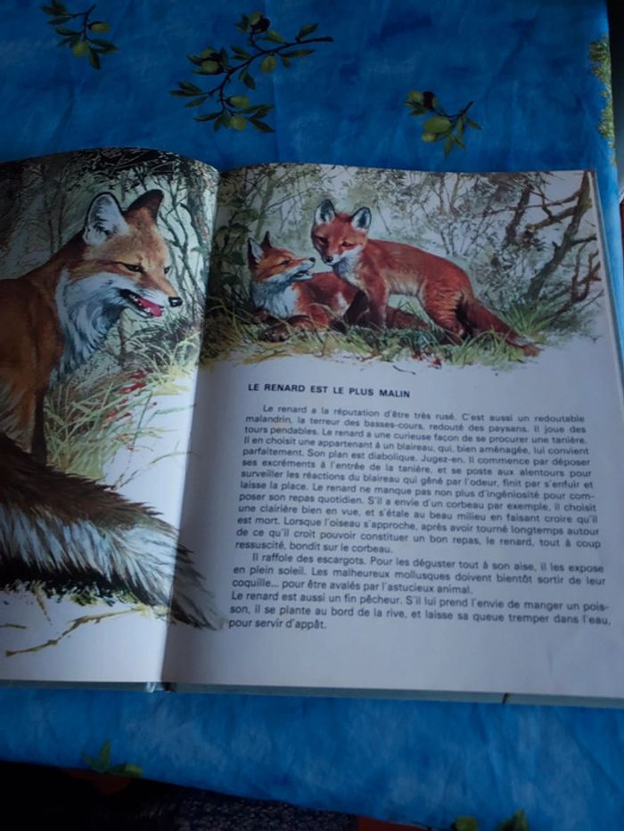 Bande dessinée pour enfant Les animaux des bois - photo numéro 3