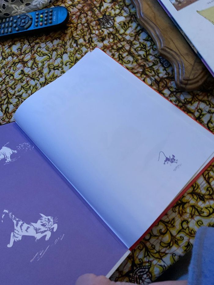 Violine 1 - photo numéro 5