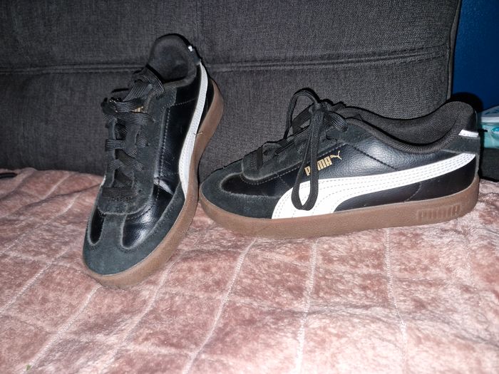 Basket puma