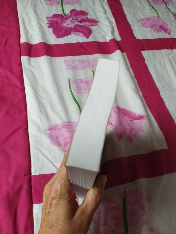 Nuits d'Enfer au Paradis - photo numéro 4