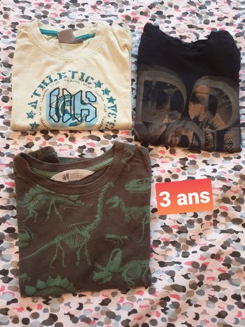Lot de 3 tshirts manches courtes 3 ans