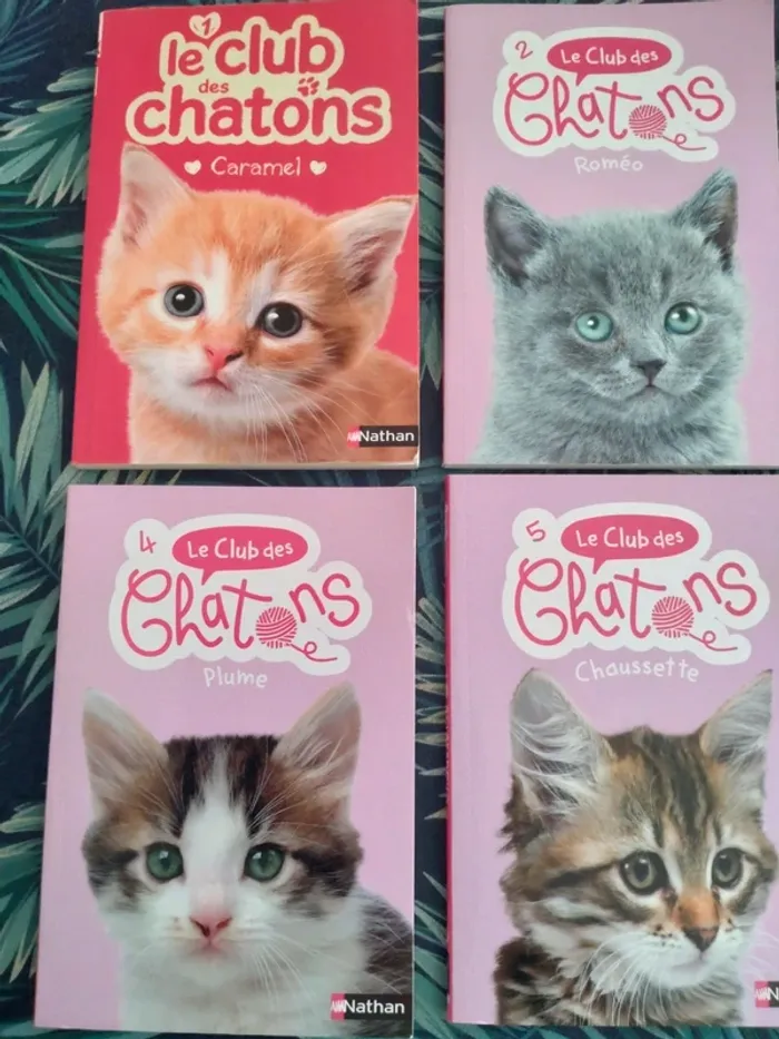 Livres enfant Le Club des chatons, tomes 1 à 6 - photo numéro 2