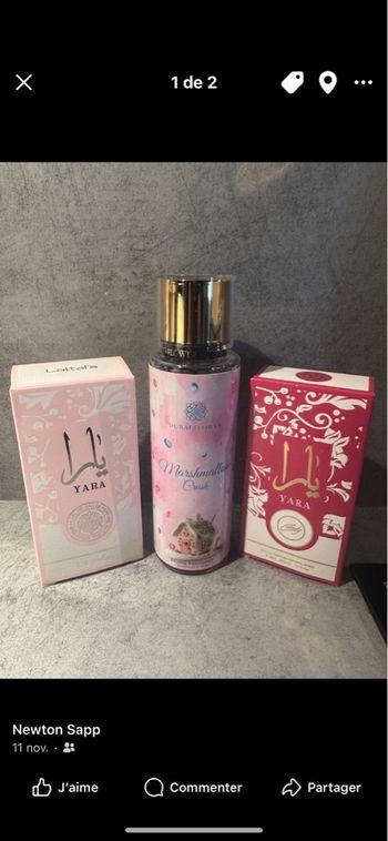Lot de 3 parfum s