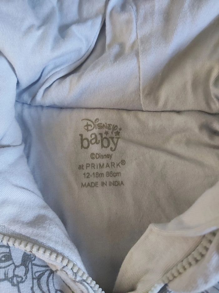 Veste Disney baby 12-18 Mois - photo numéro 2
