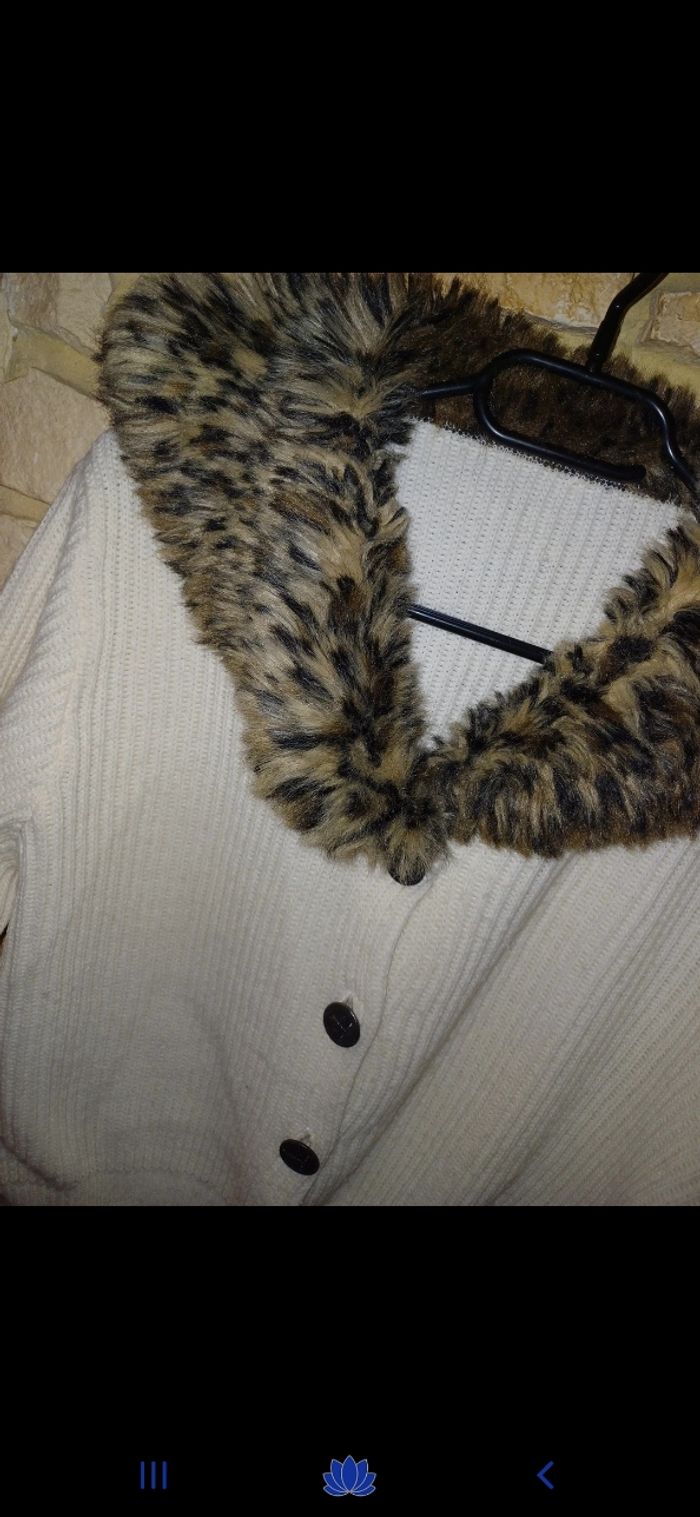 Veste femme taille 38 - photo numéro 2