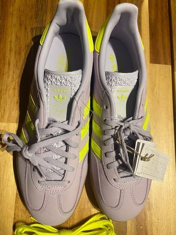 Baskets adidas gazelle indoor 