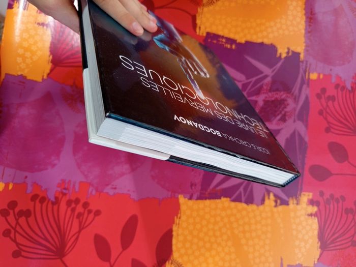 Le livre des merveilles technologiques - photo numéro 6