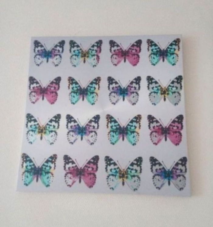 Toile papillons 60*60cm