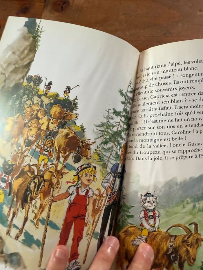 Moyen 1 - Livre édition limitée reliure rouge Caroline dans les Alpages Pierre Probst bd - photo numéro 19