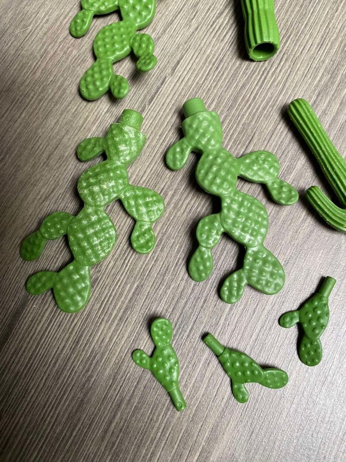 Lot de cactus - photo numéro 9