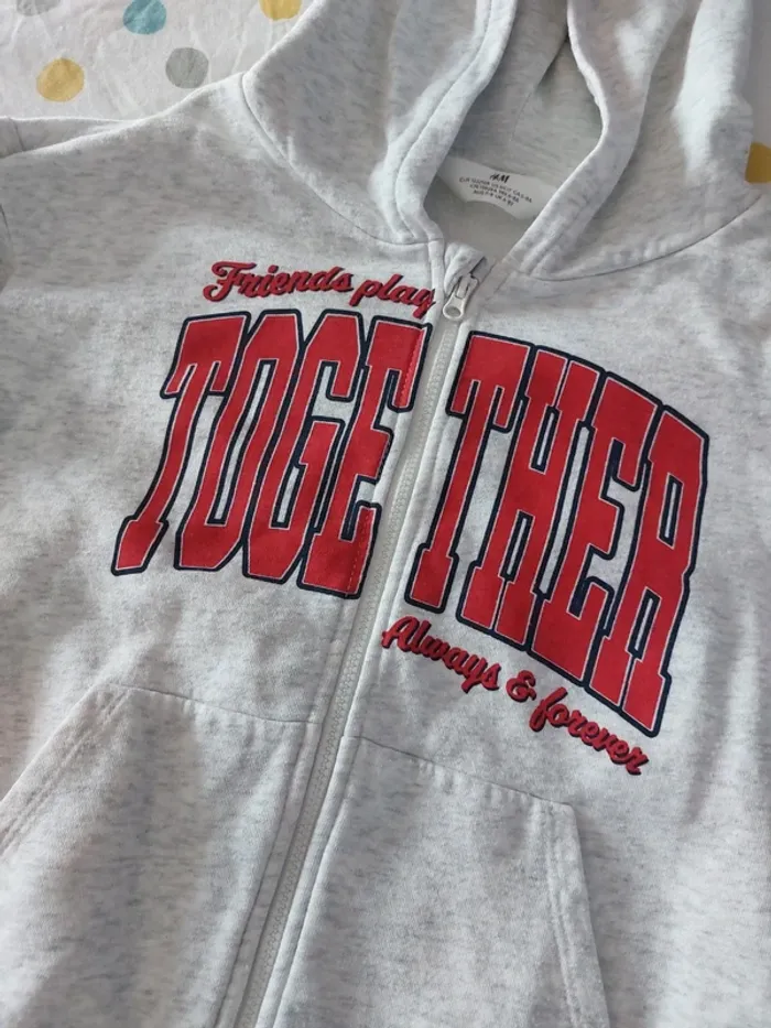 Sweat zippé à capuche gris clair 122/128 - photo numéro 2
