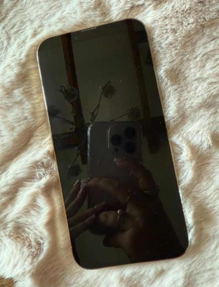 Iphone treize pro max - photo numéro 2