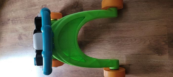 Trotteur zèbre - photo numéro 3